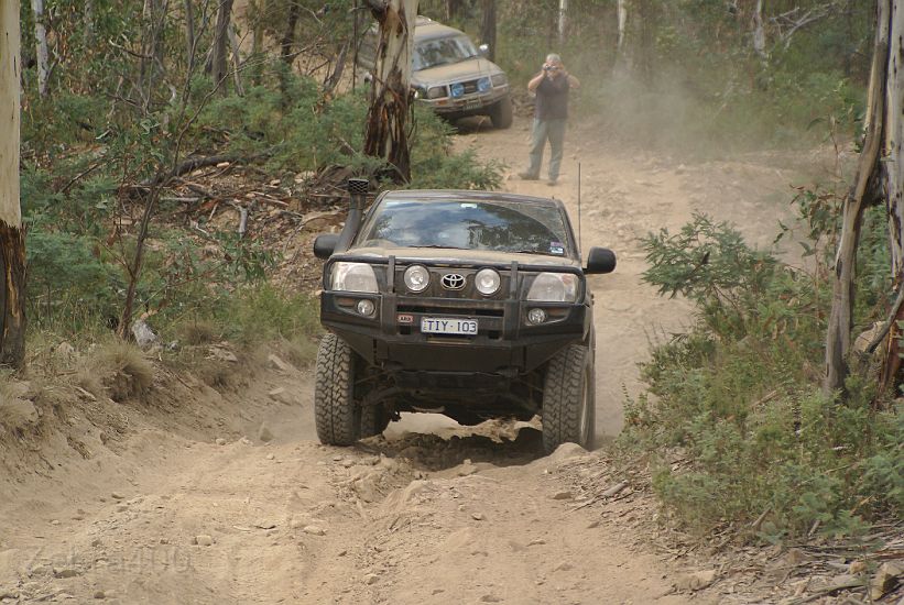 25-Panda makes it easily up Cobberas Trail.JPG